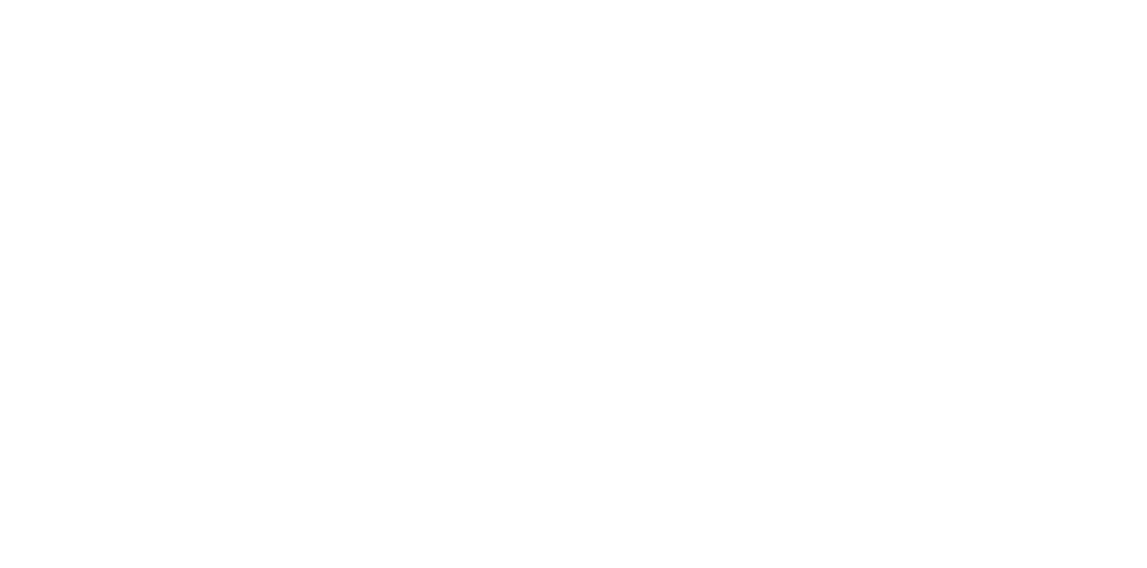 enginify logo white